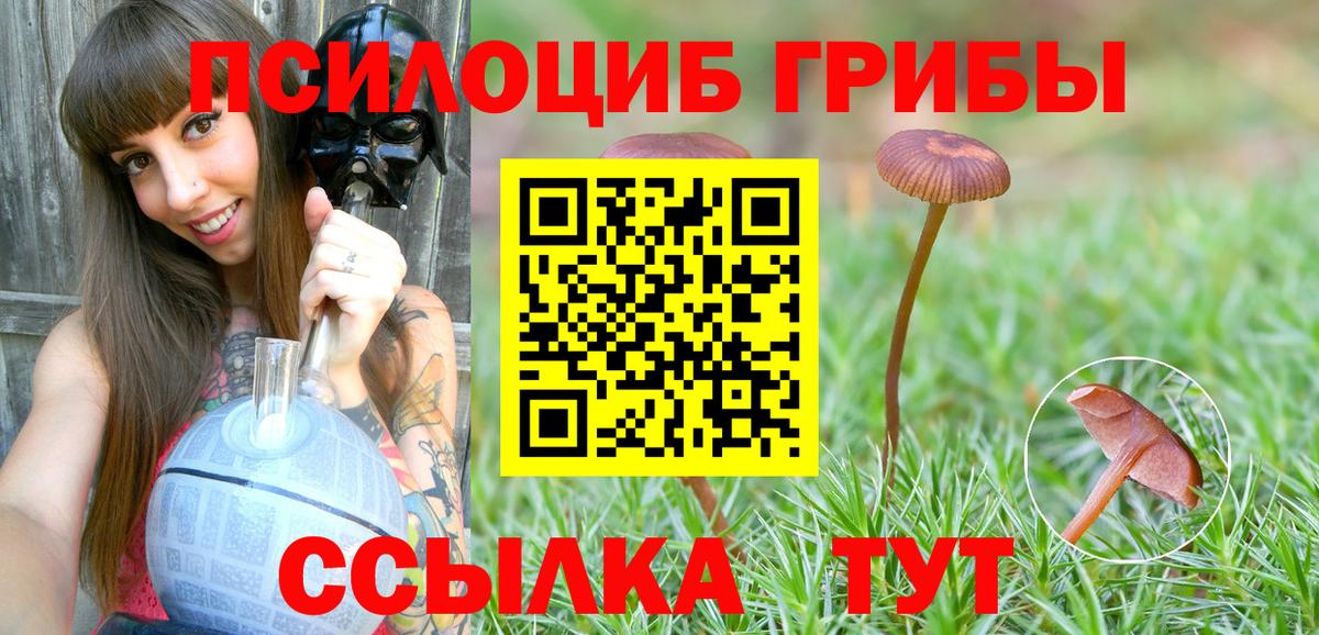 Снежинск  наркотики  Вход с VPN  Псилоцибиновые грибы GOLDEN TEACHER 